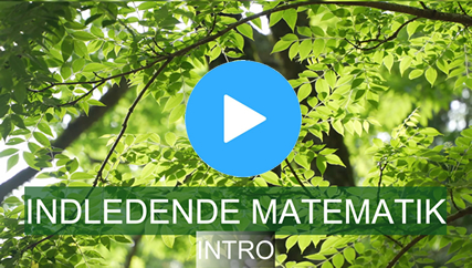 Varyc kursus - Indledende matematik